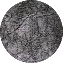 lucia gertos profile picture